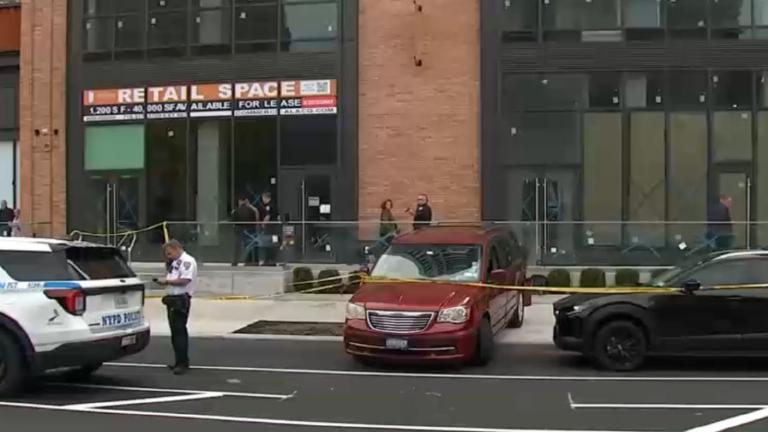 Bay Ridge to Brighton: 11 Dead, 2,246 Hurt. Who Will Slow the Cars?