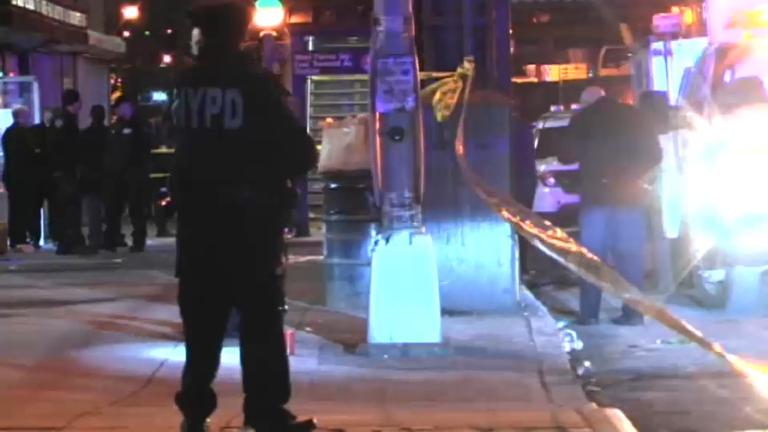 Bronx Park: Seven Dead, 540 Hurt Since 2022